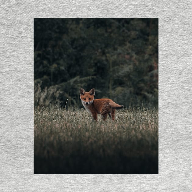 Red fox by withluke